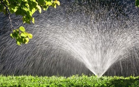 Cuidados del césped que deberías aplicar YA – elCortacesped